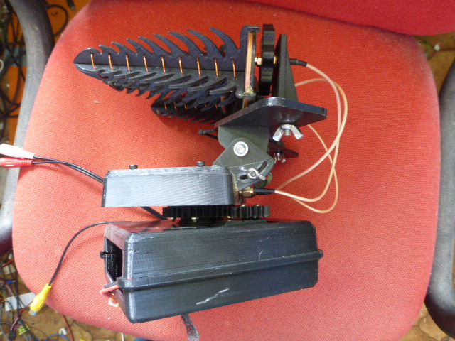 P1100243.JPG