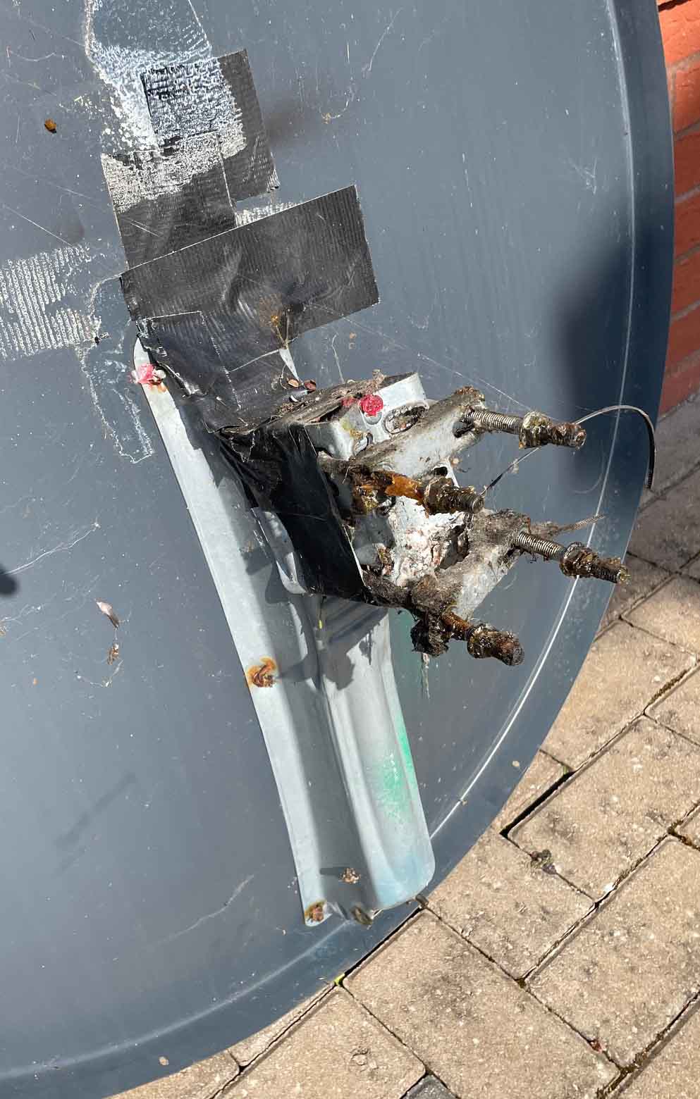 dish rear.jpg