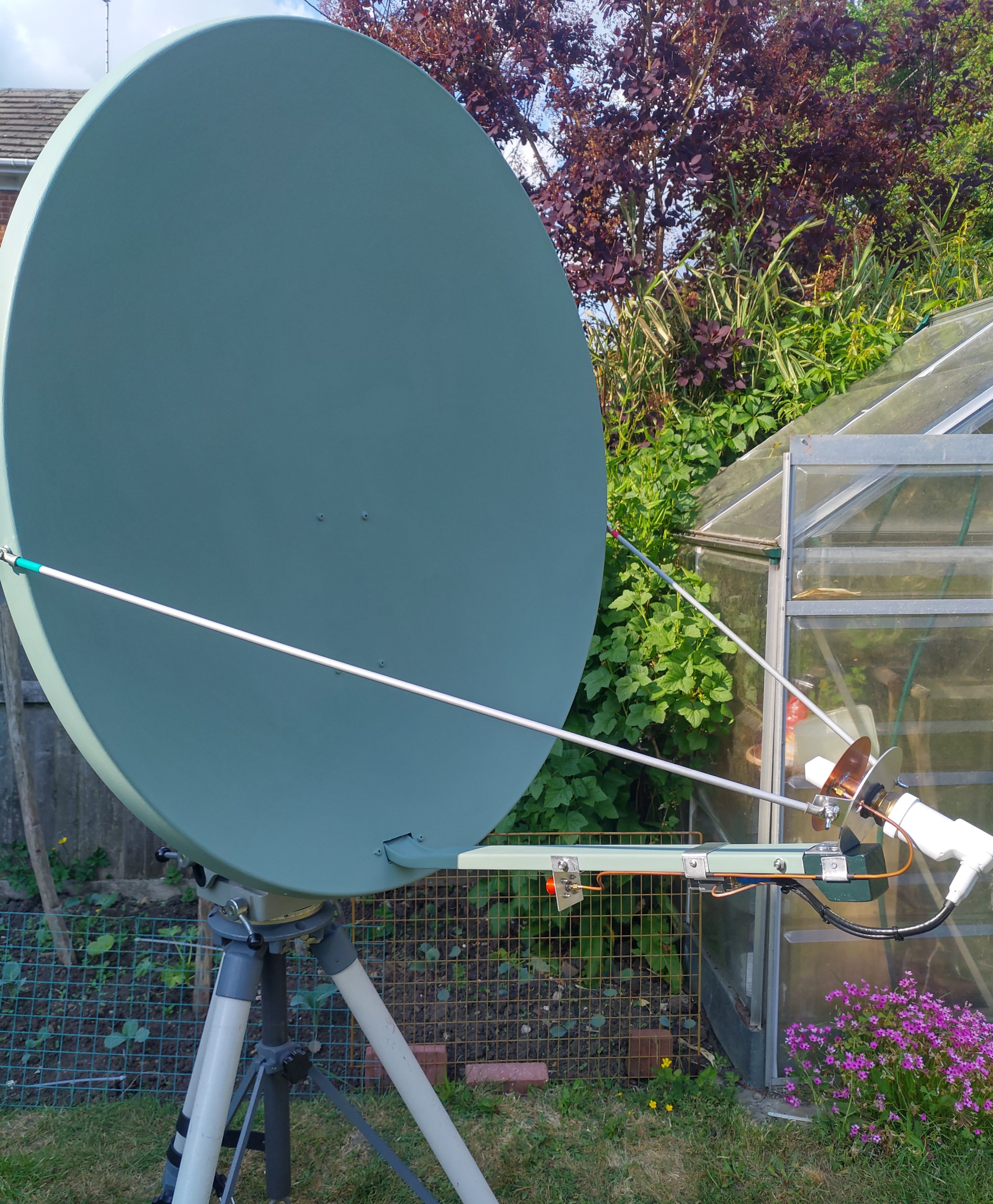 1m Dish.jpg