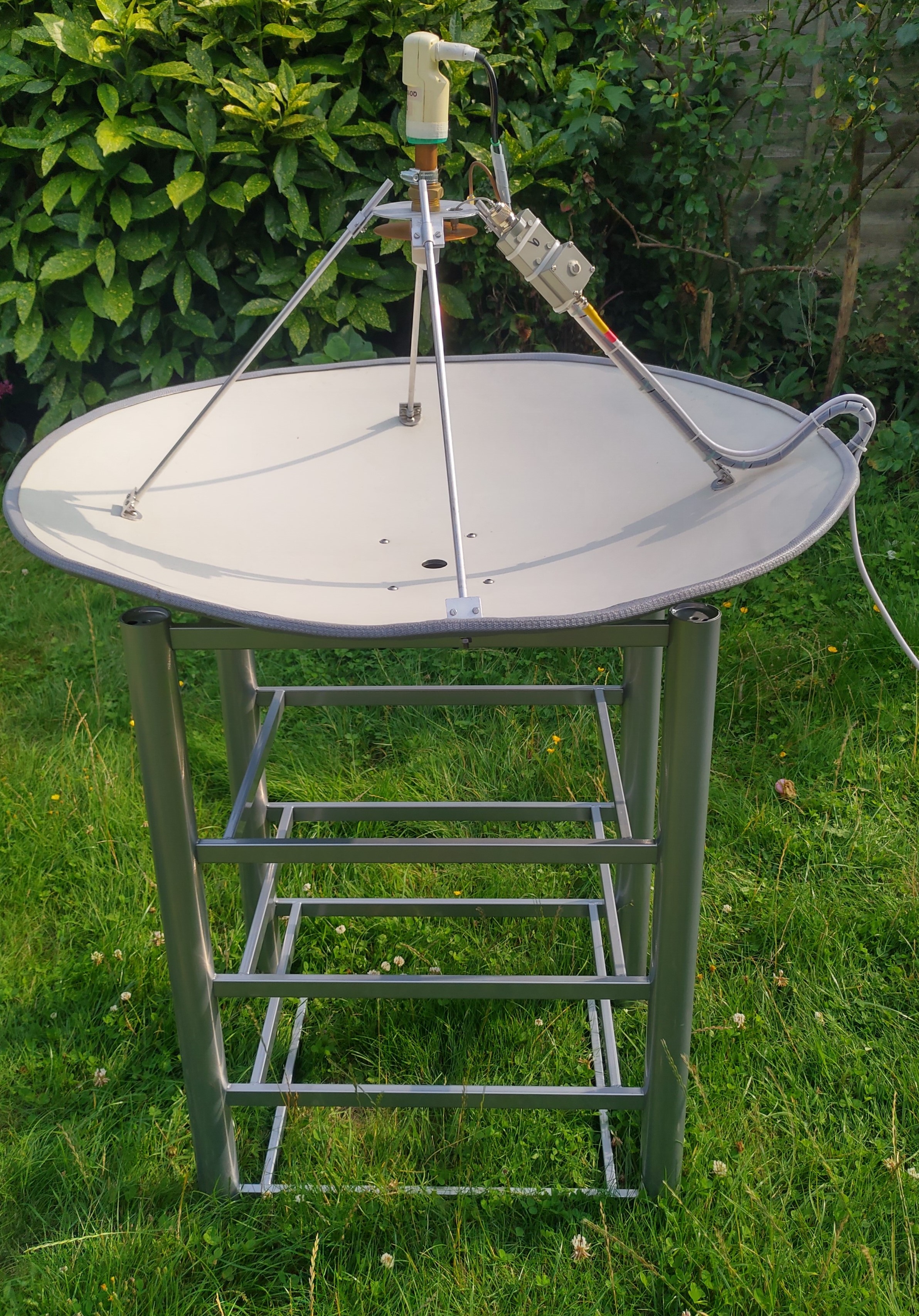 20250806Dish.jpg