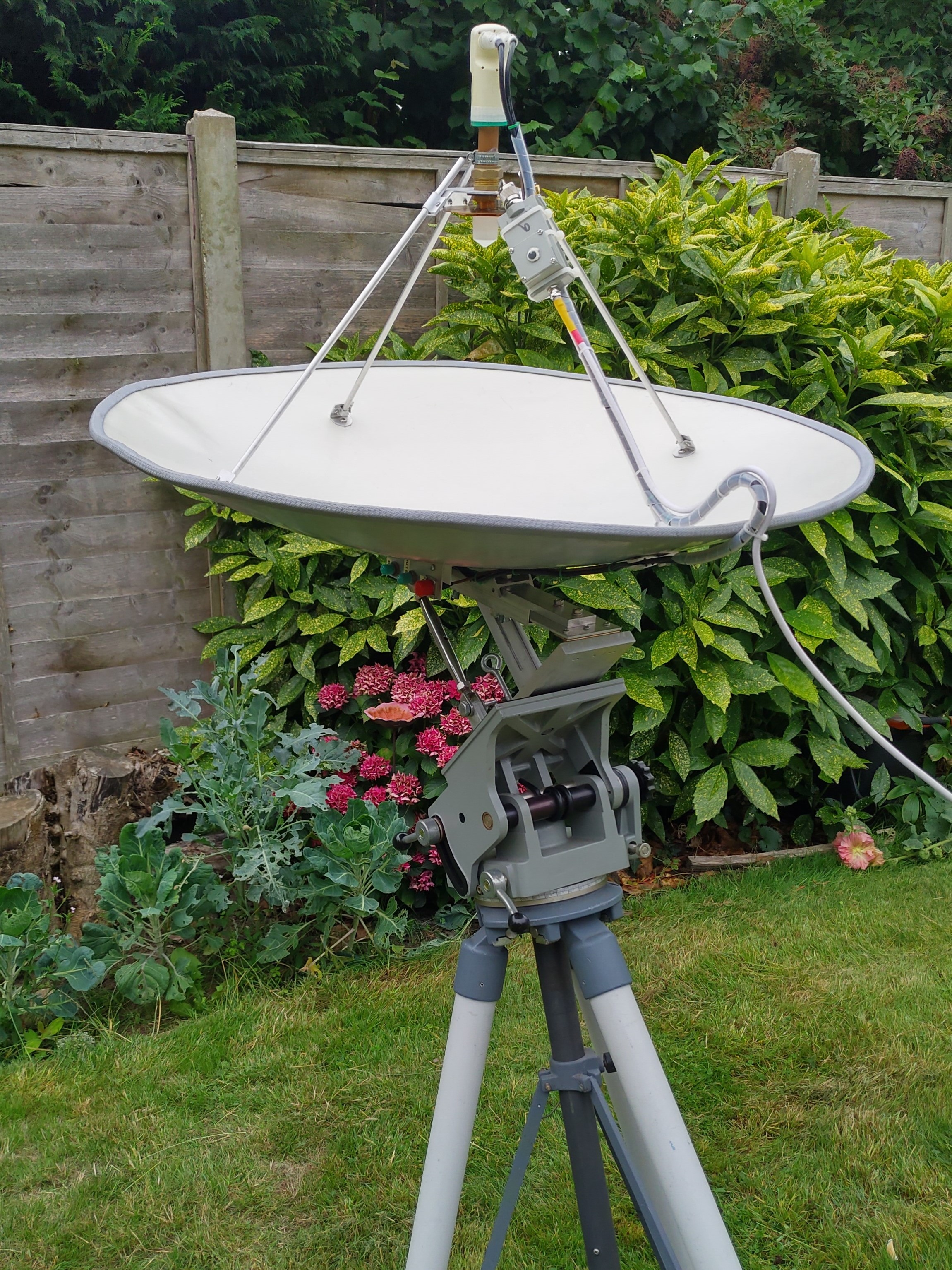 Dish.jpg
